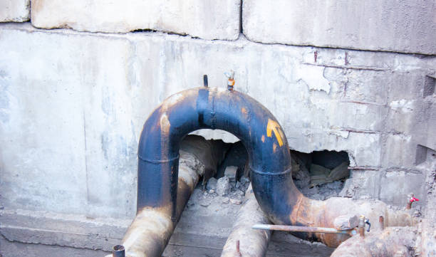 Best Sewage Cleanup and Restoration in Roosevelt, NY